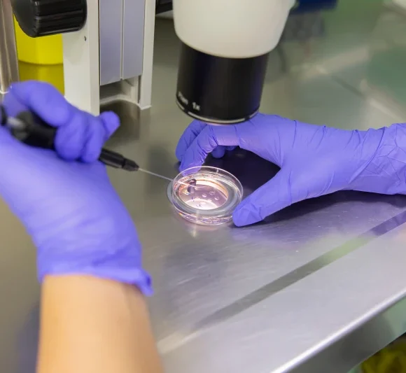 Poll: Catholic support for IVF falls below 50% when Church teaching explained