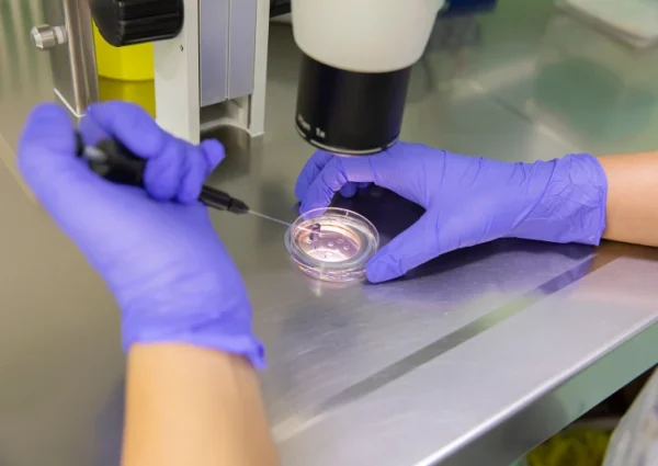 Poll: Catholic support for IVF falls below 50% when Church teaching explained