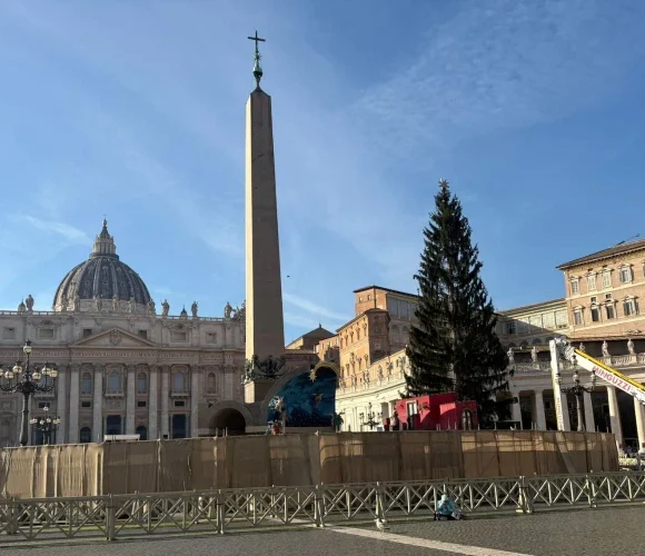 Vatican to unveil Nativity scene, light up Christmas tree in St. Peter’s Square on Dec. 15