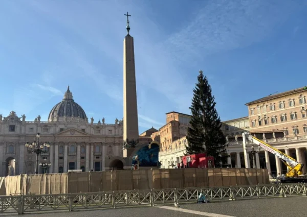Vatican to unveil Nativity scene, light up Christmas tree in St. Peter’s Square on Dec. 15