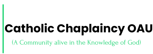 Our Lady of Perpetual Light Chaplaincy