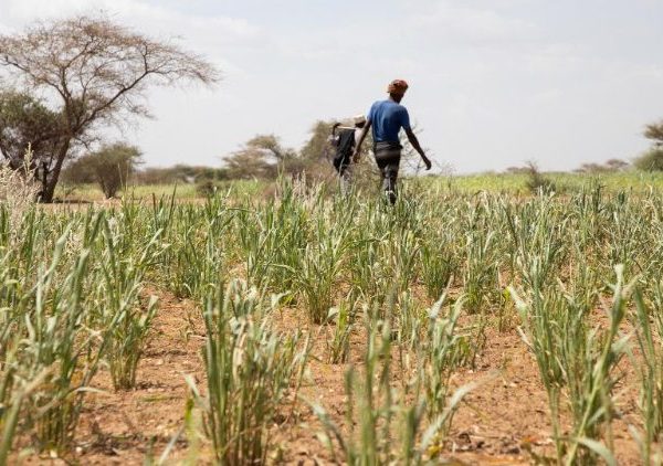 Holy See: Structural causes must be identified to eradicate poverty