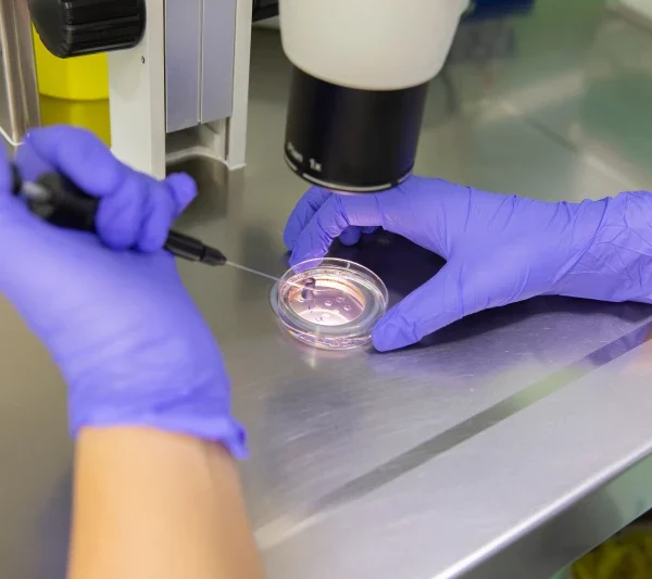 Trump administration expands IVF and other fertility treatment coverage